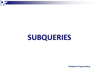 4.04 Sub Queries.pdf